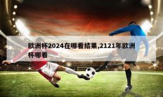 欧洲杯2024在哪看结果,2121年欧洲杯哪看